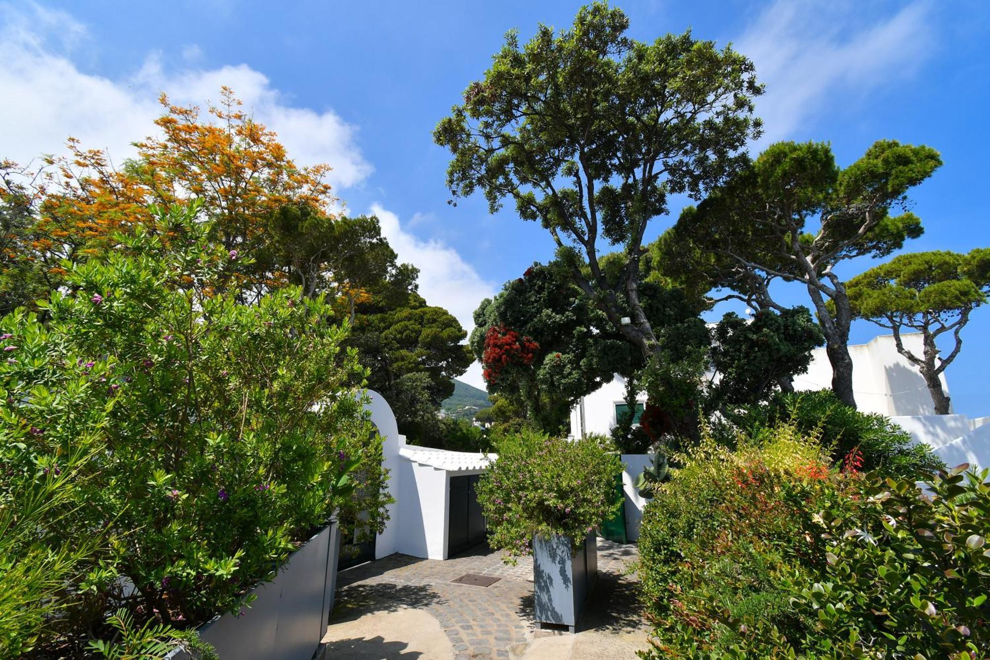 B&B Villa Lentisco 이스키아 외부 사진